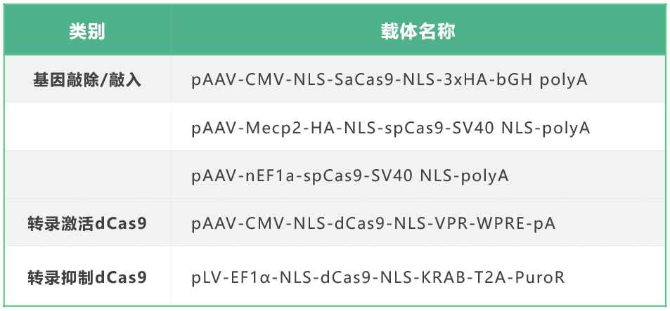 99草草国产熟女视频在线