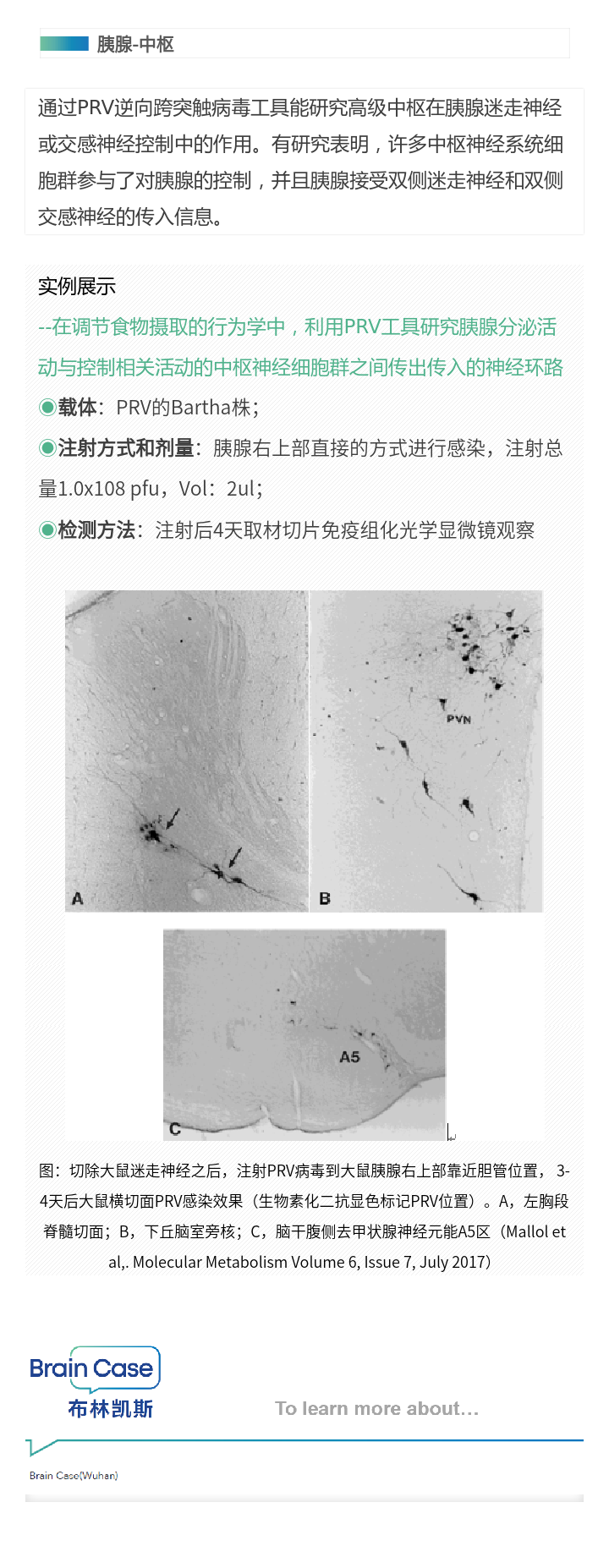 99草草国产熟女视频在线