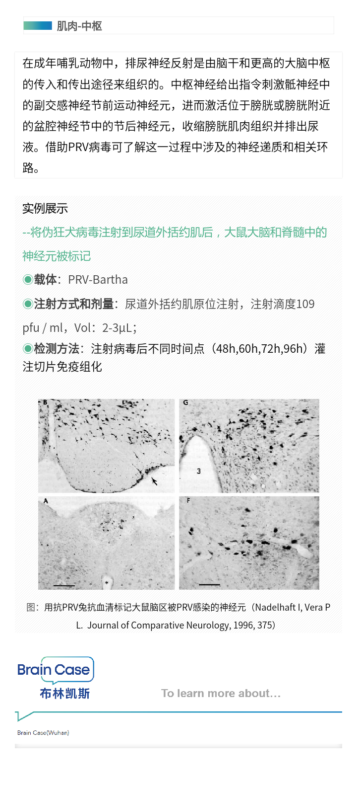 99草草国产熟女视频在线