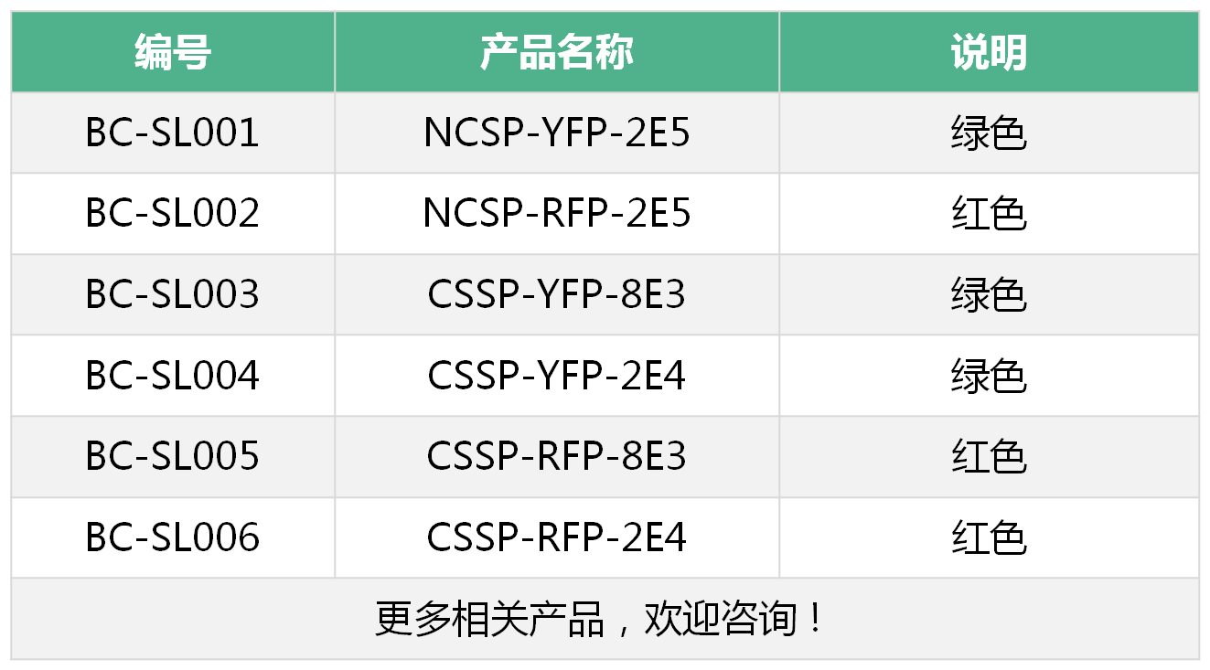 99草草国产熟女视频在线