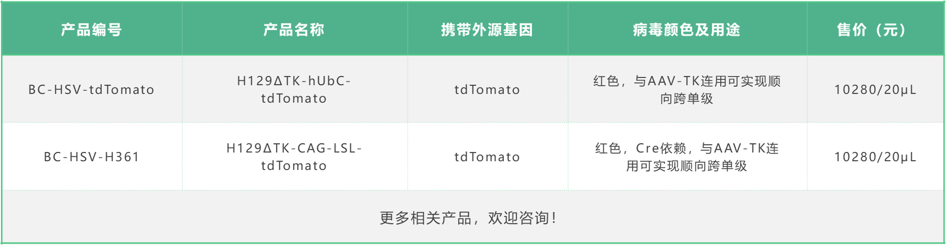 99草草国产熟女视频在线