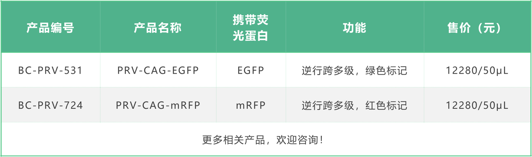 99草草国产熟女视频在线