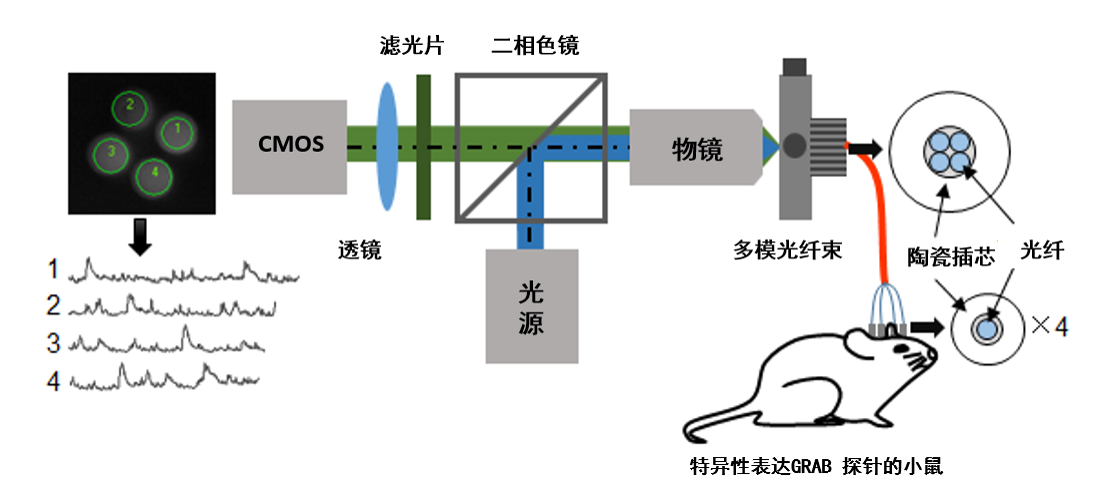 99草草国产熟女视频在线