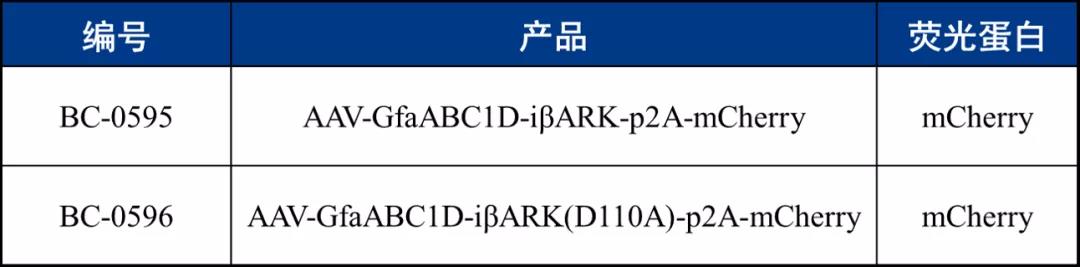99草草国产熟女视频在线