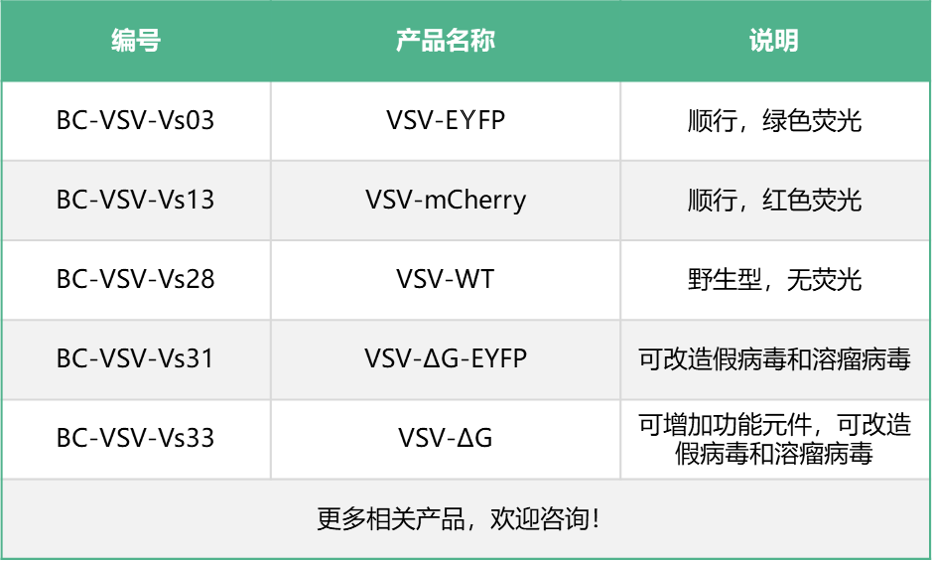 99草草国产熟女视频在线
