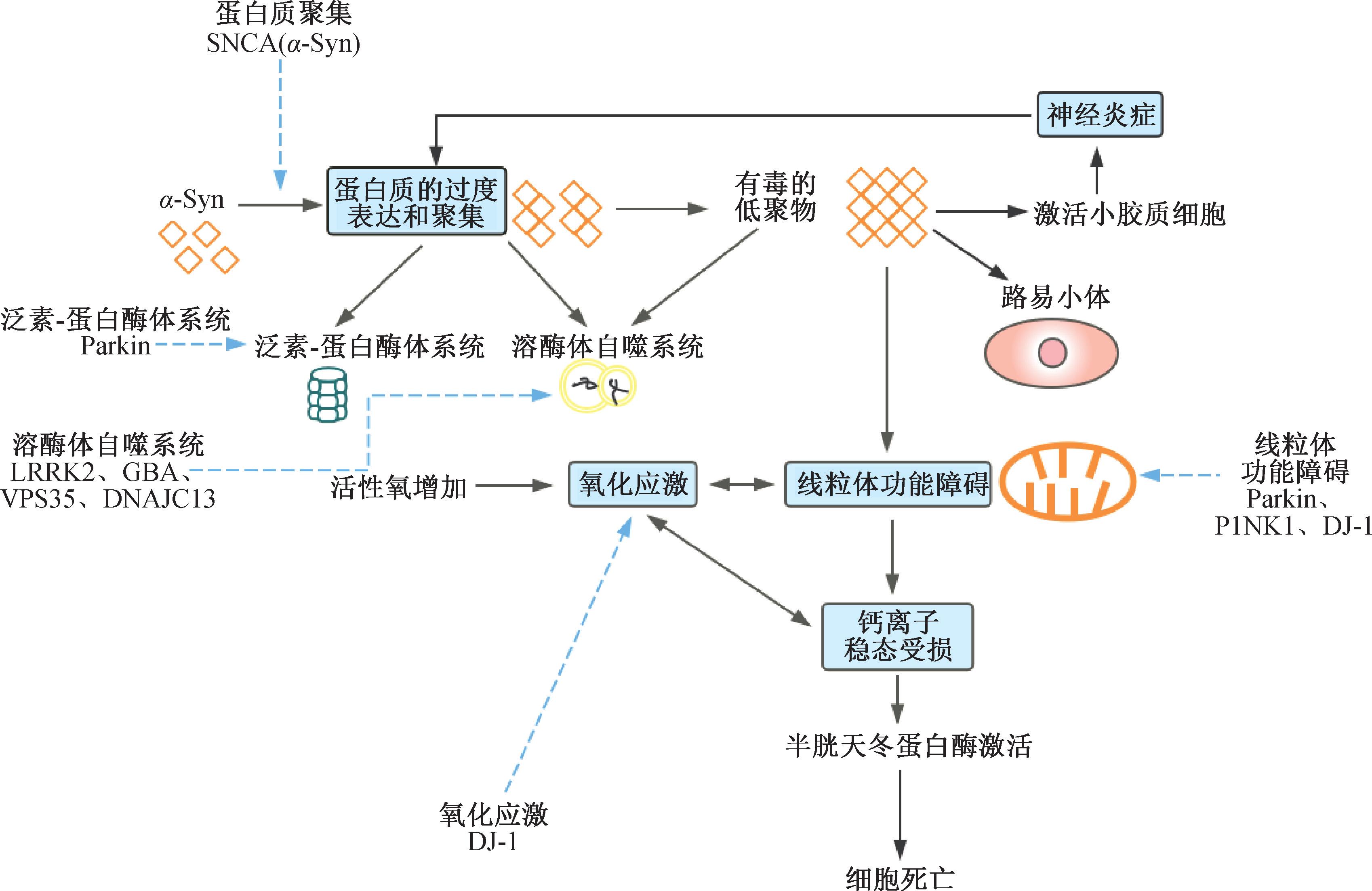 99草草国产熟女视频在线