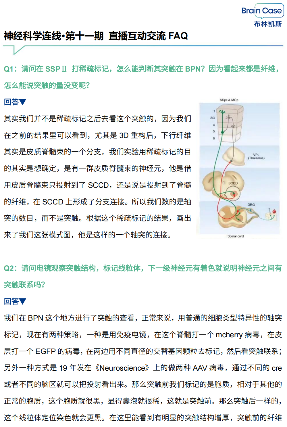 99草草国产熟女视频在线