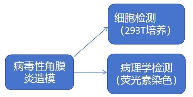 99草草国产熟女视频在线