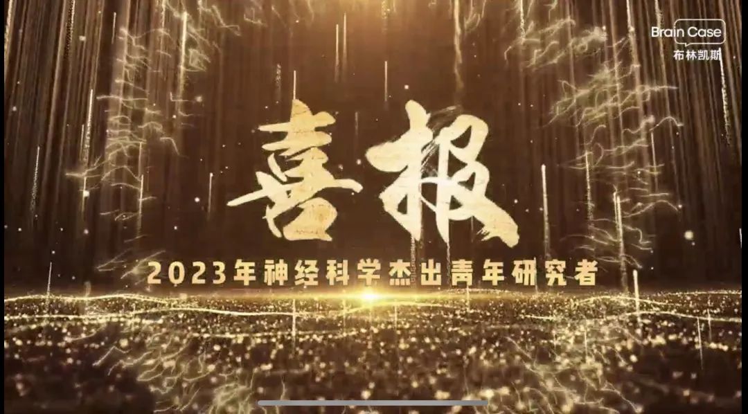 99草草国产熟女视频在线