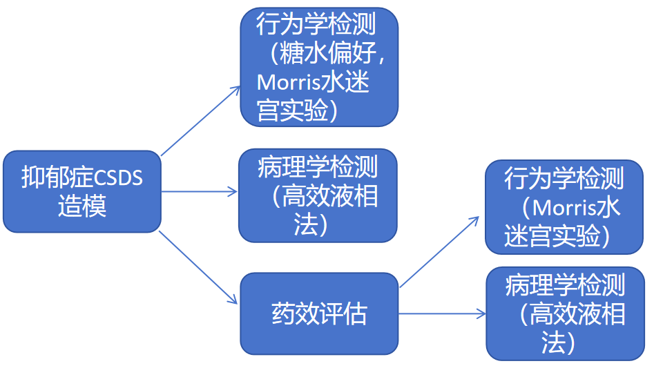 99草草国产熟女视频在线