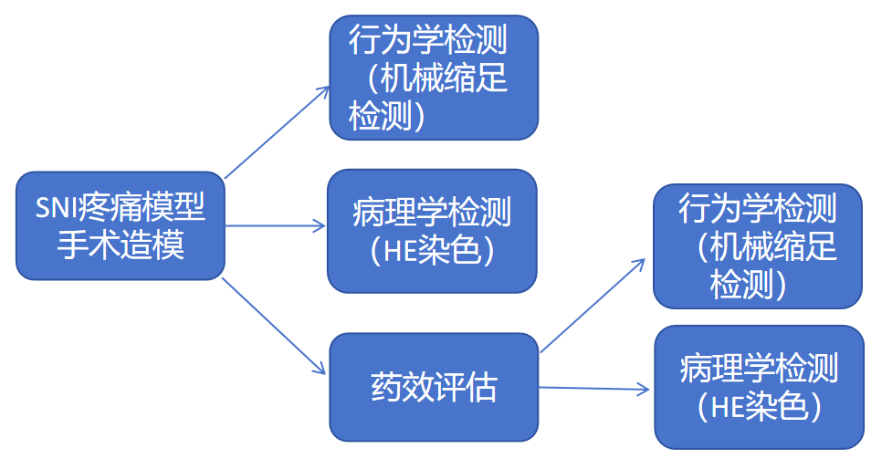 99草草国产熟女视频在线