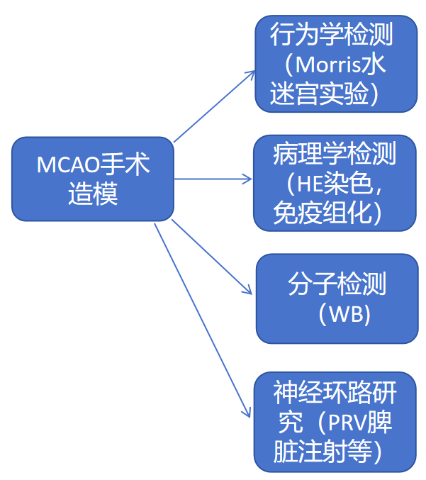 99草草国产熟女视频在线