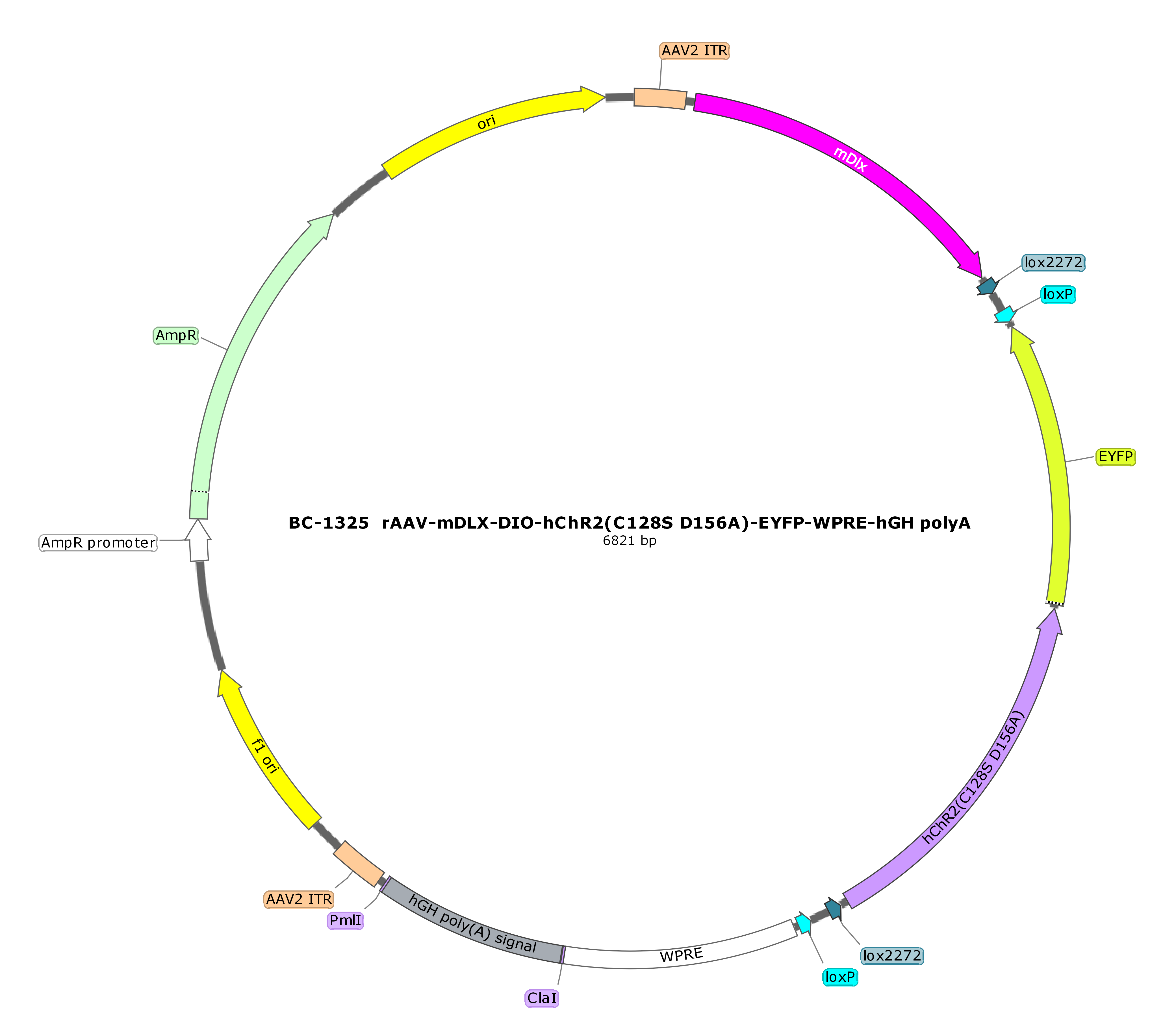 rAAV-mDlx-DIO-hChR2(C128S D156A)-EYFP  