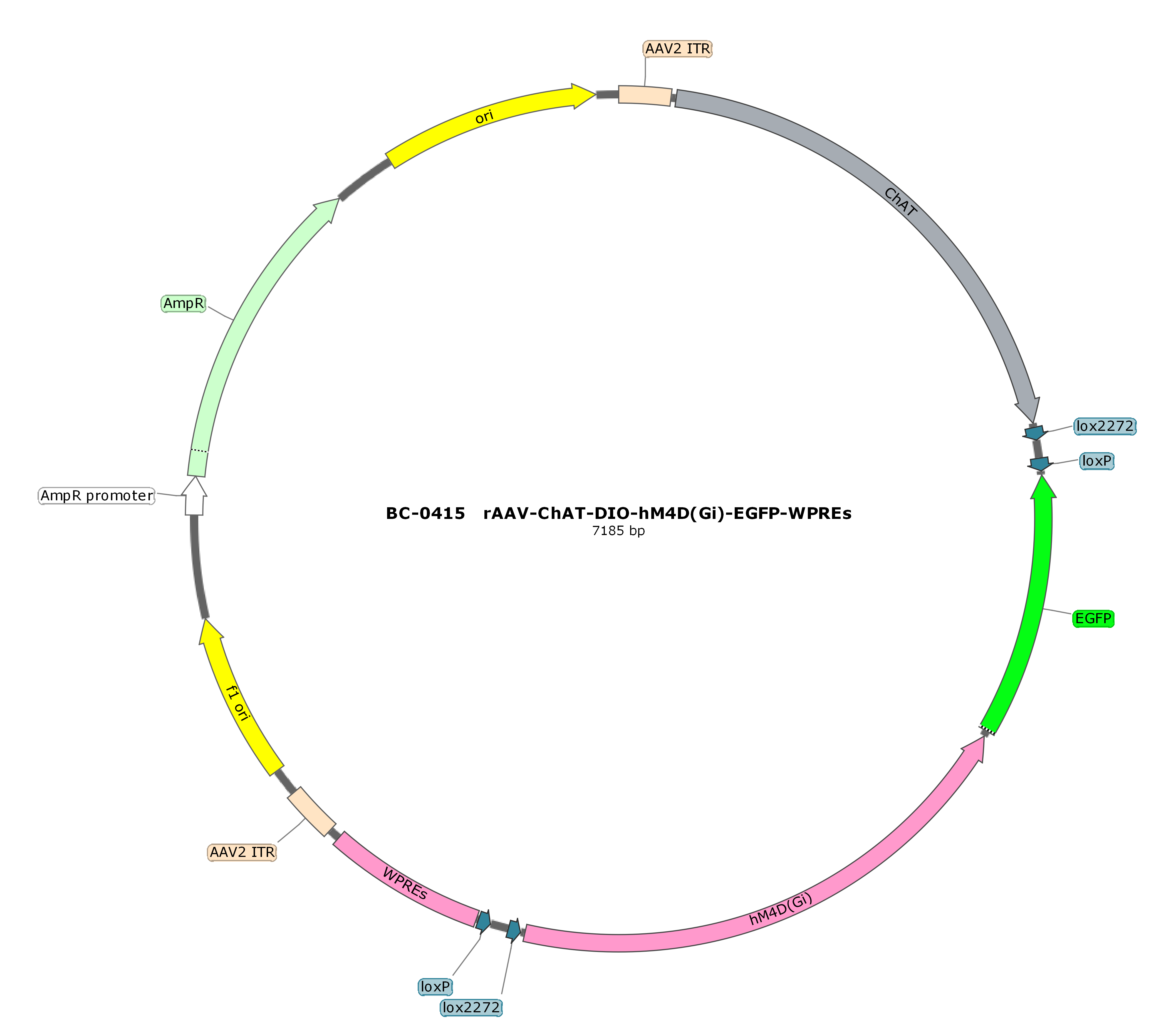 rAAV-ChAT-DIO-hM4D(Gi)-EGFP 