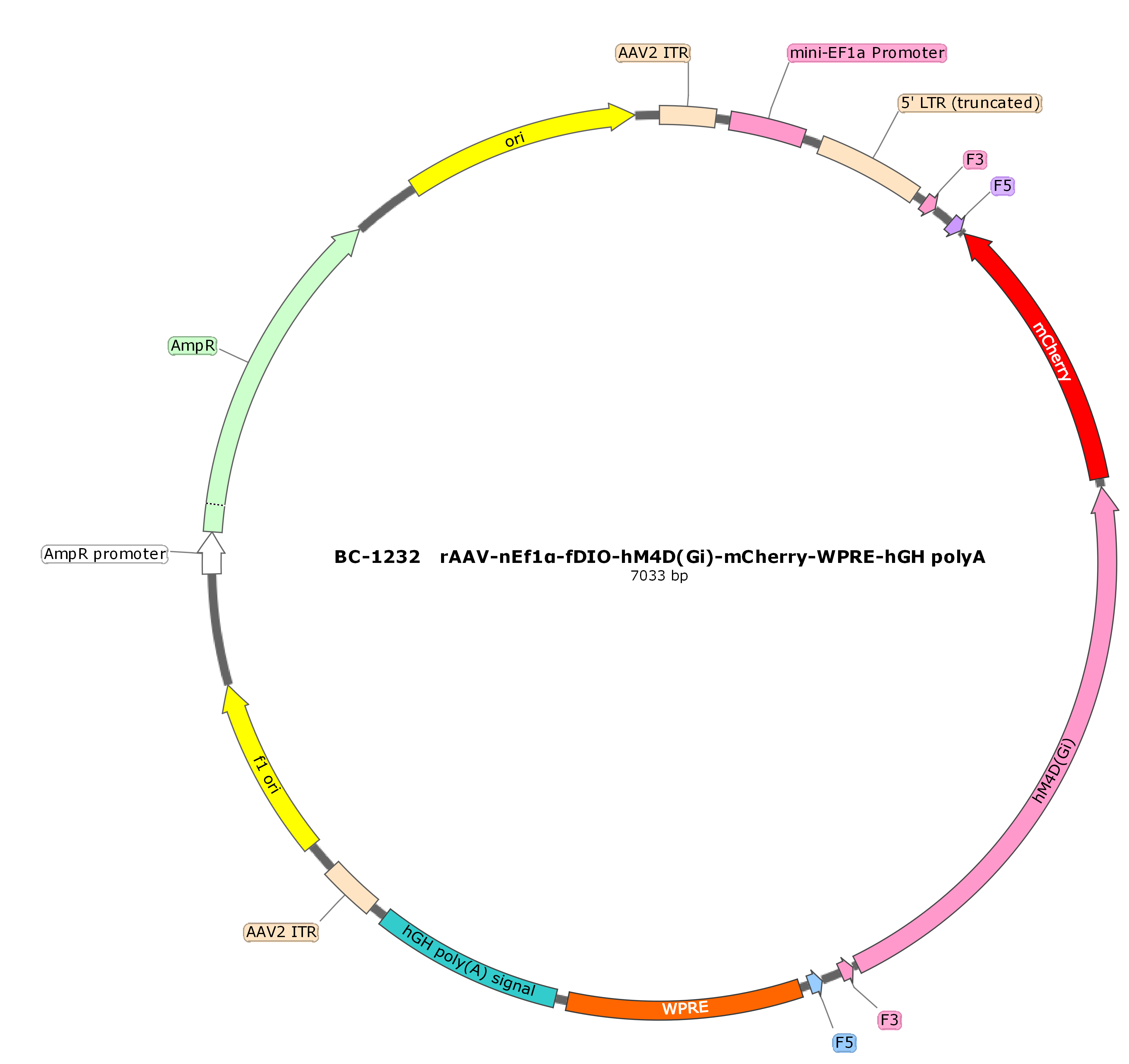BC-1232  rAAV-nEF1α-FDIO-hM4D(Gi)-mCherry    