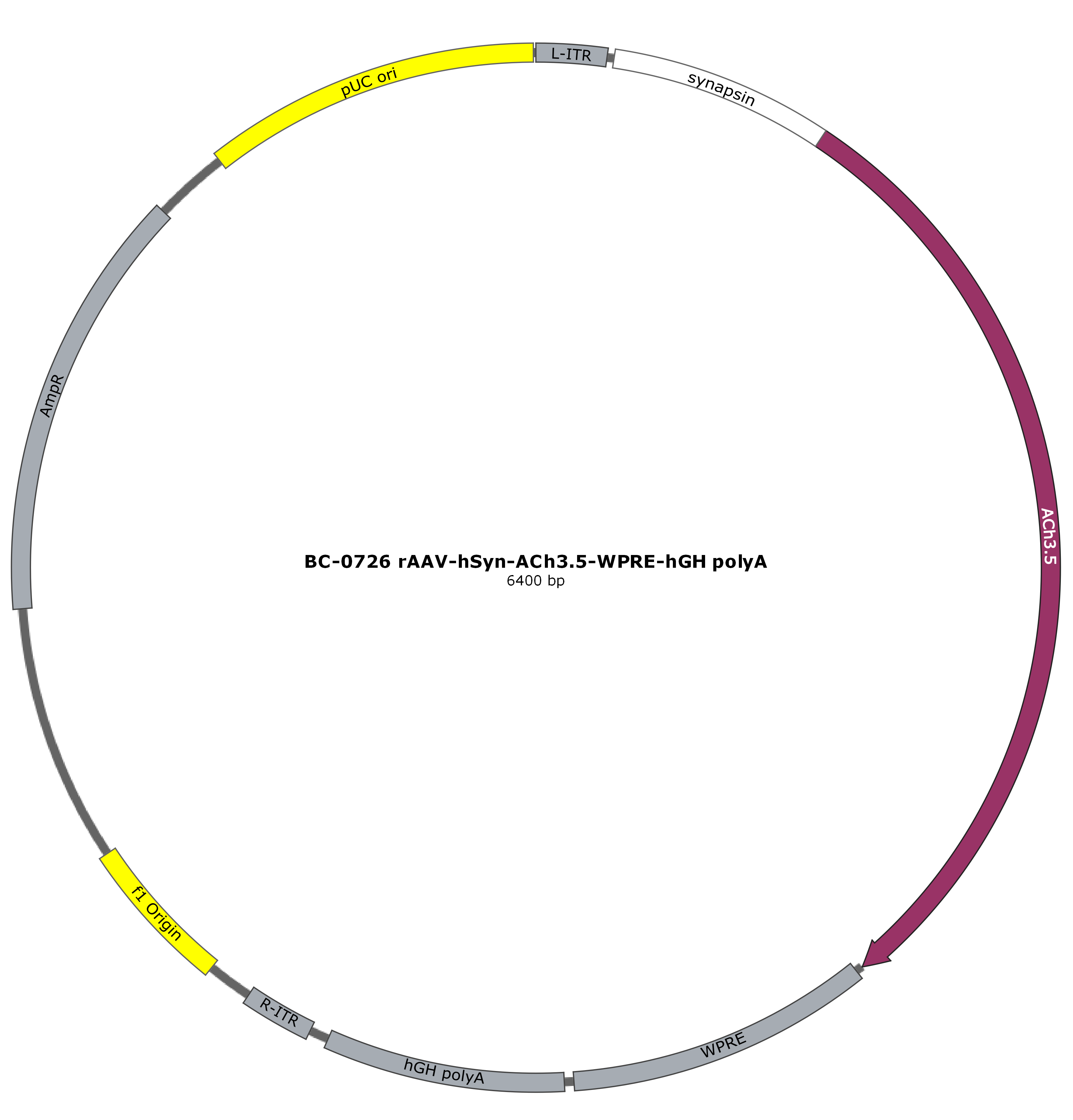BC-0726 rAAV-hSyn-ACh3.5  