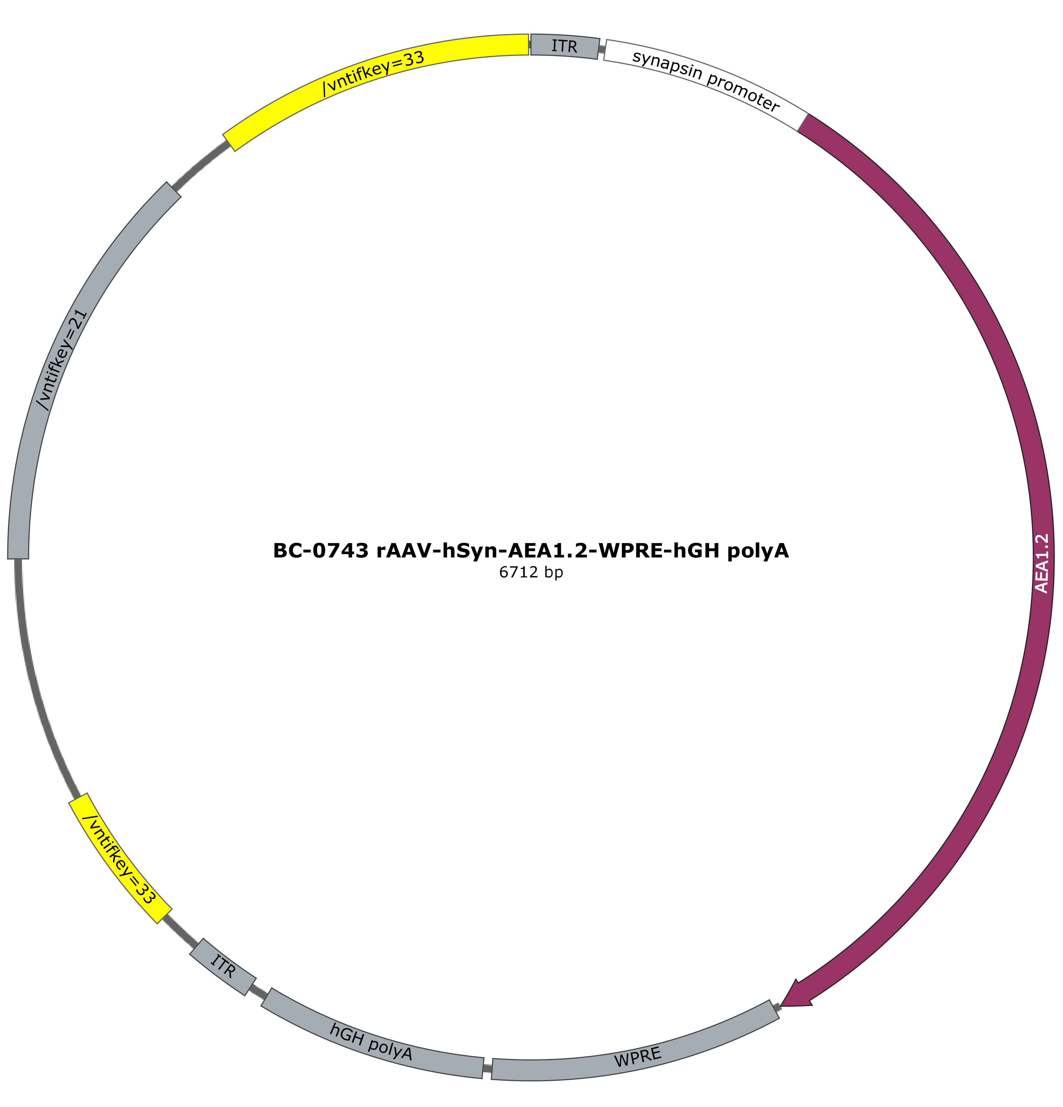 BC-0743 rAAV-hSyn-AEA1.2 