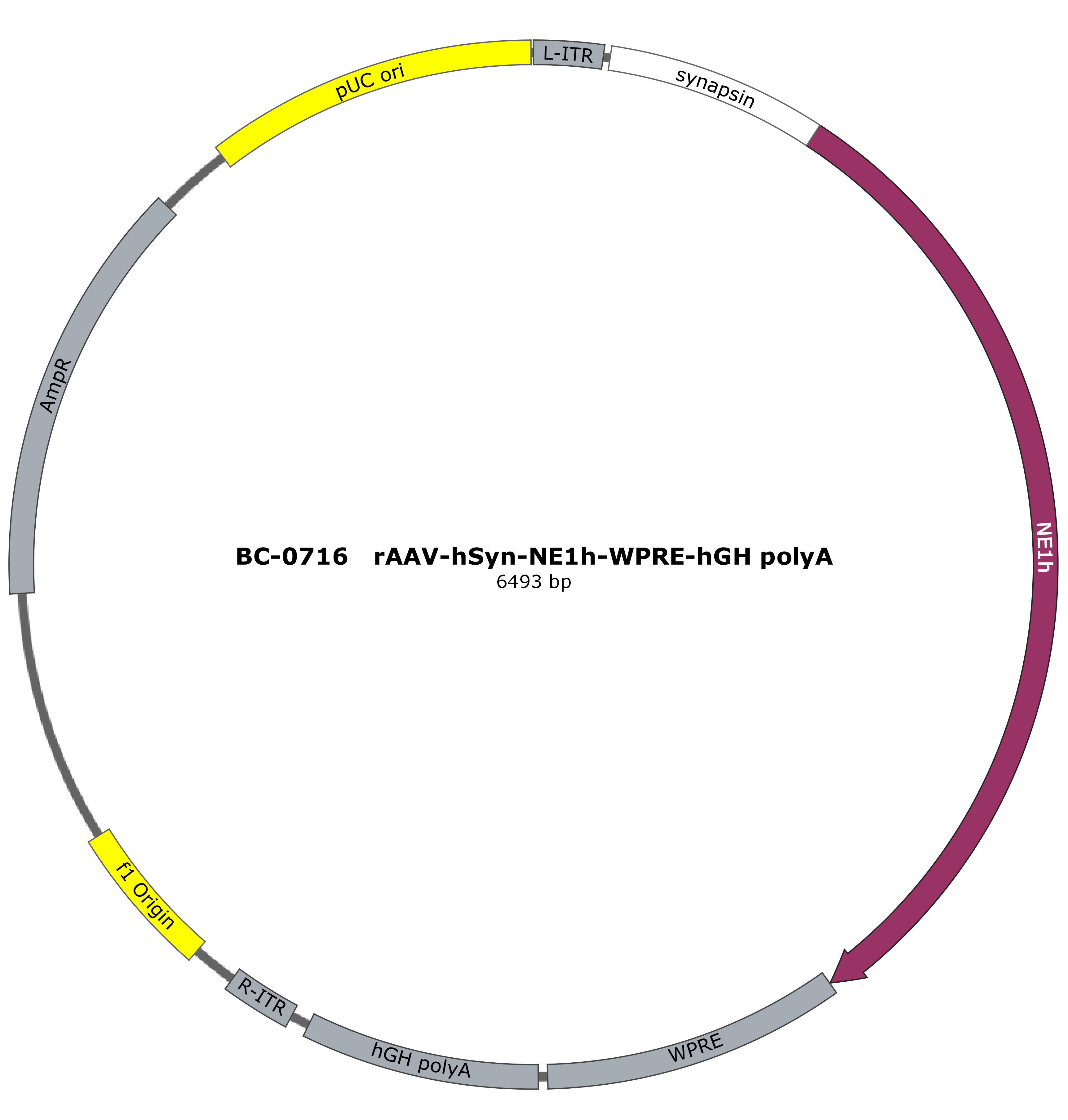 BC-0716  rAAV-hSyn-NE1h