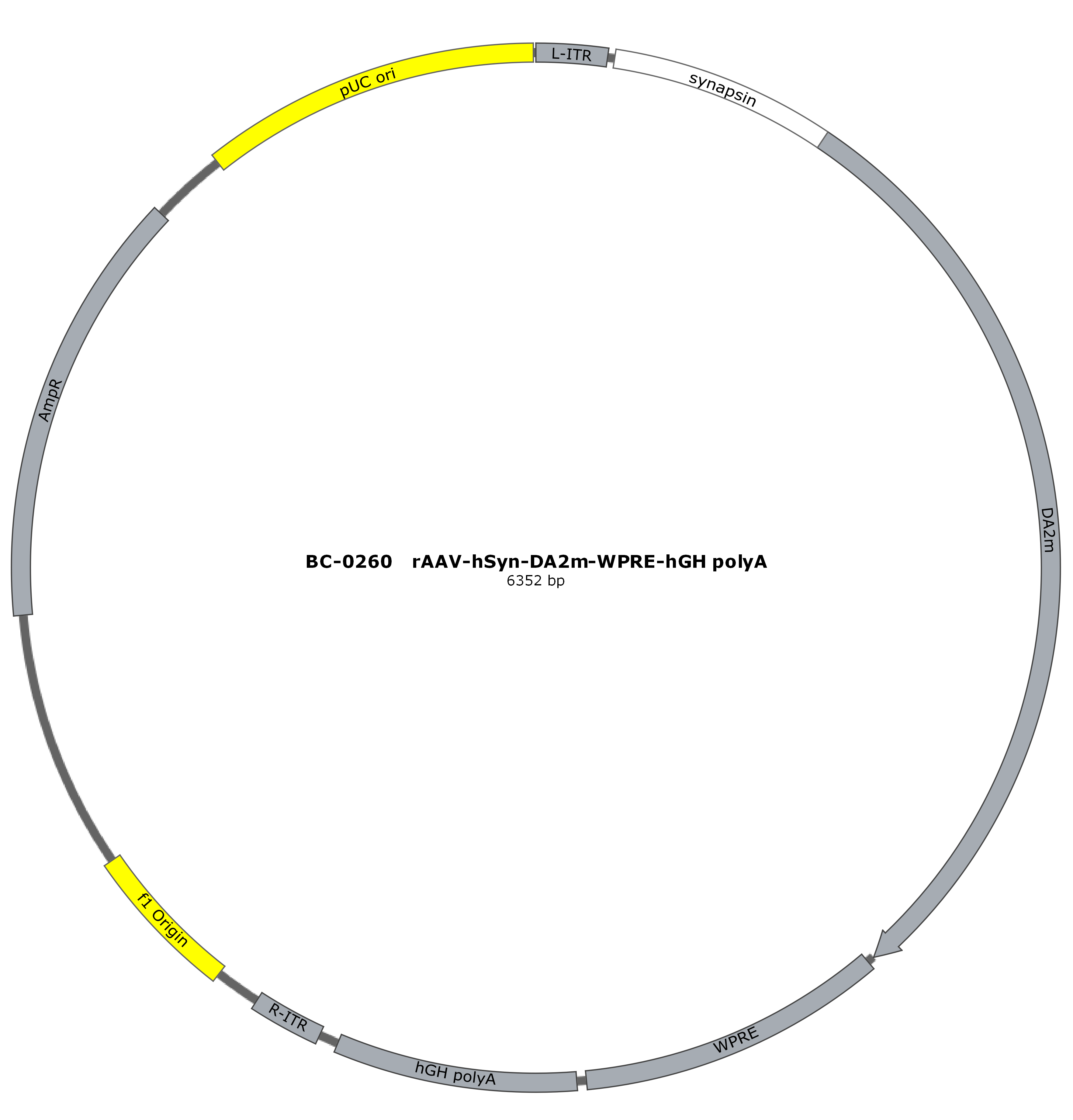 BC-0260 rAAV-hSyn-DA2m   