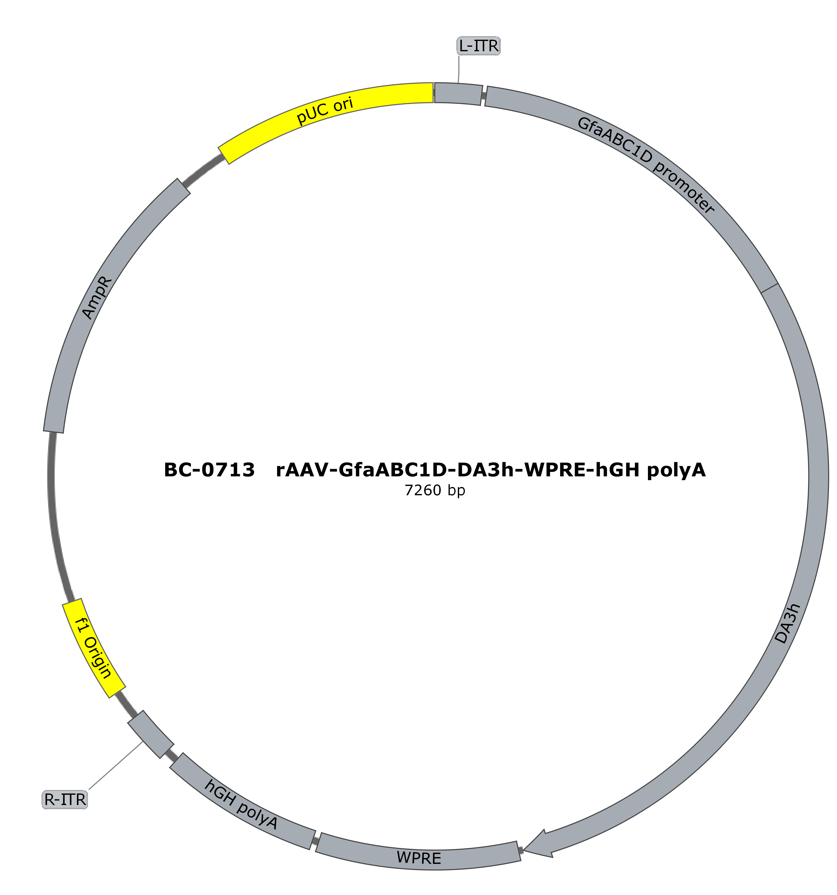 BC-0713 rAAV-GfaABC1D-DA3h  