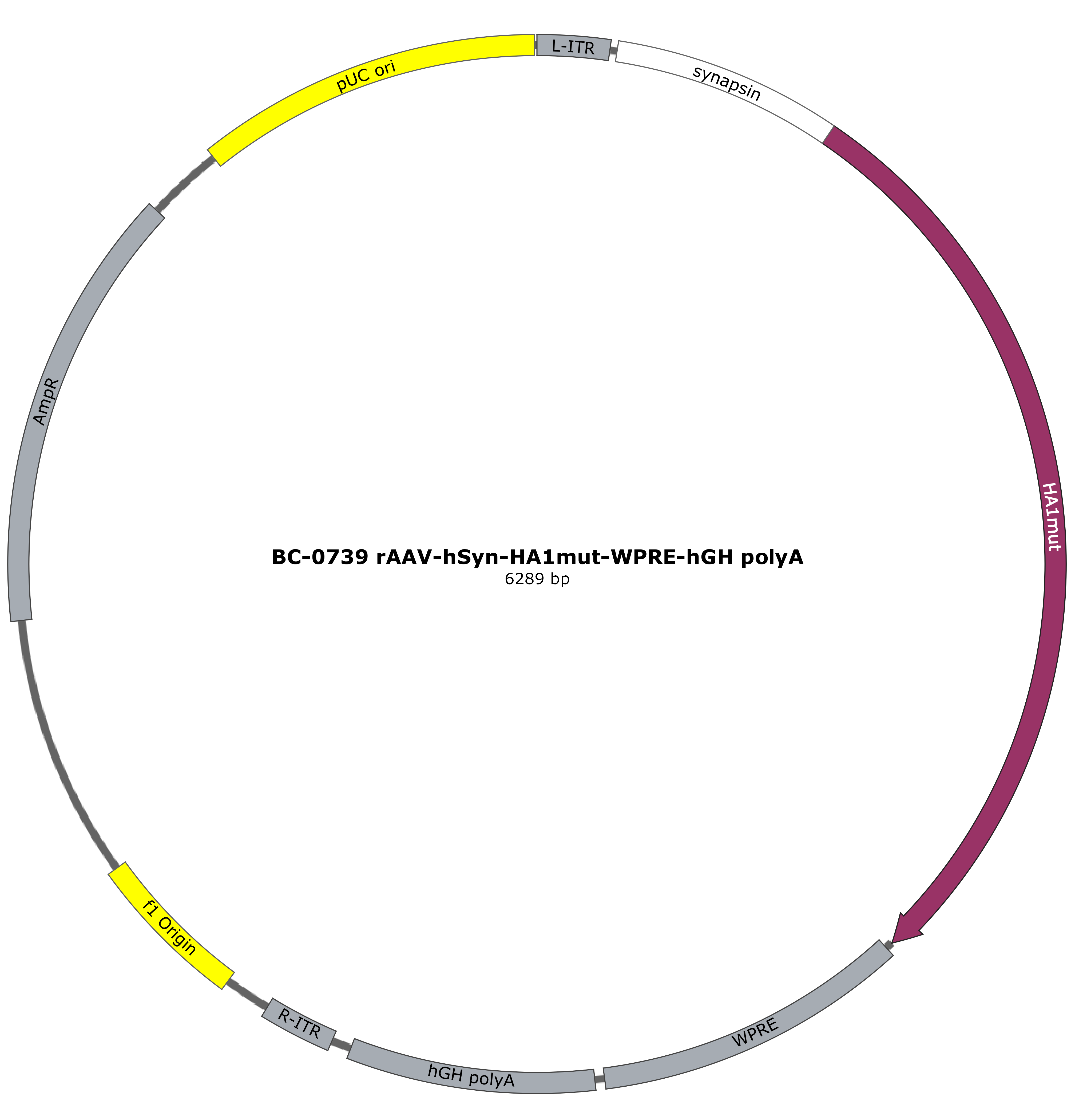 BC-0739  rAAV-hSyn-HA1mut