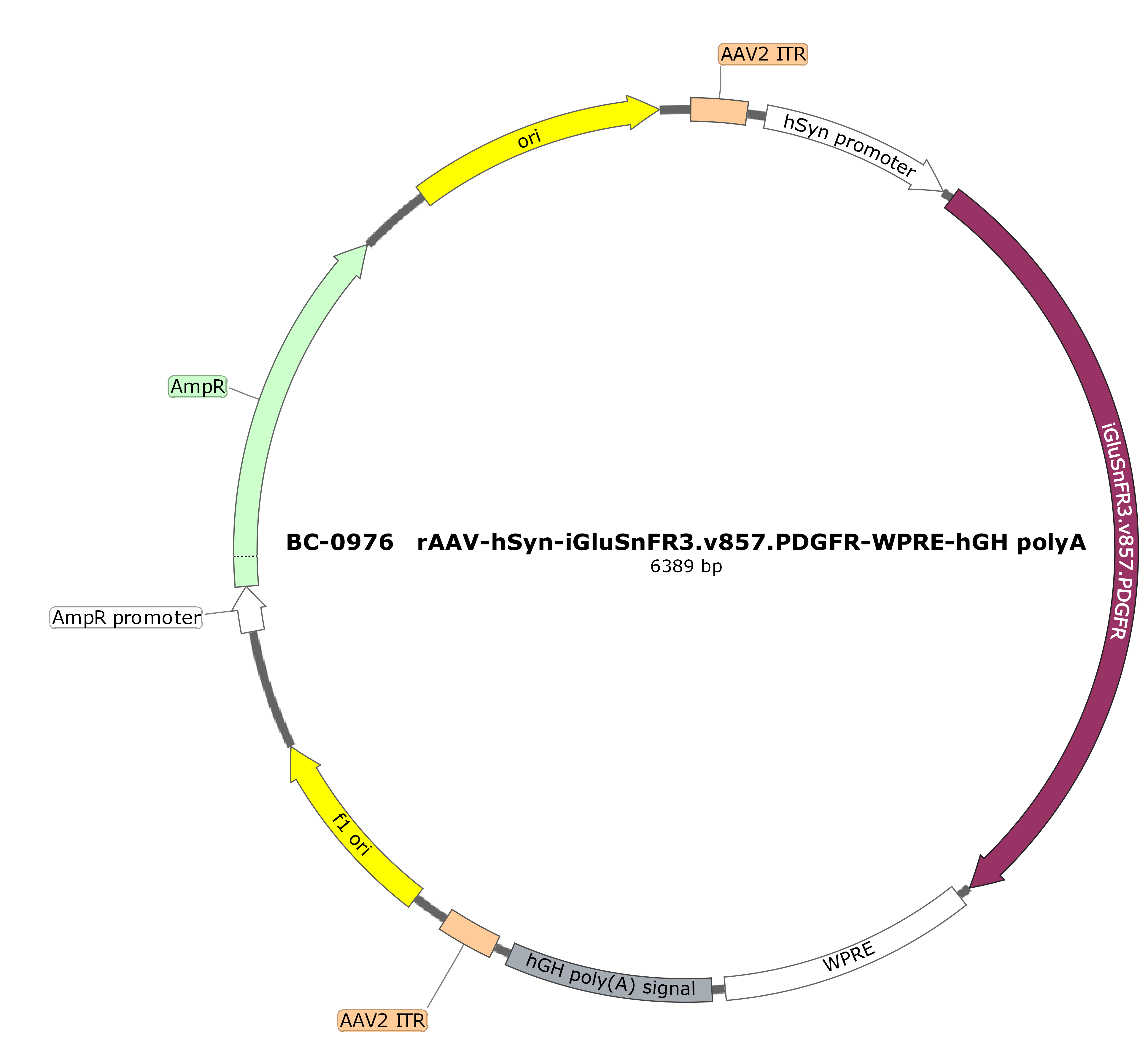 BC-0976  rAAV-hSyn-iGluSnFR3.v857.PDGFR