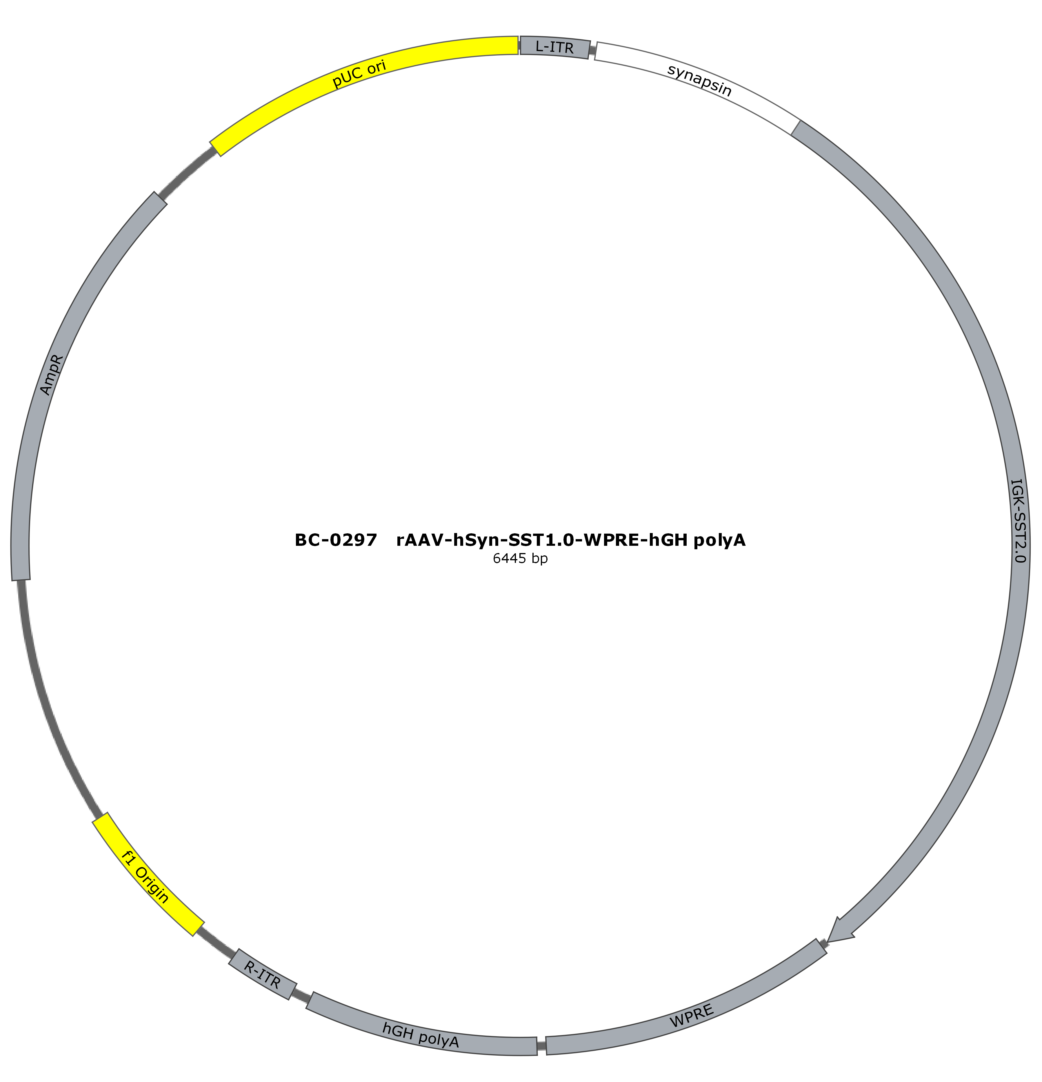 rAAV-hSyn-SST1.0  