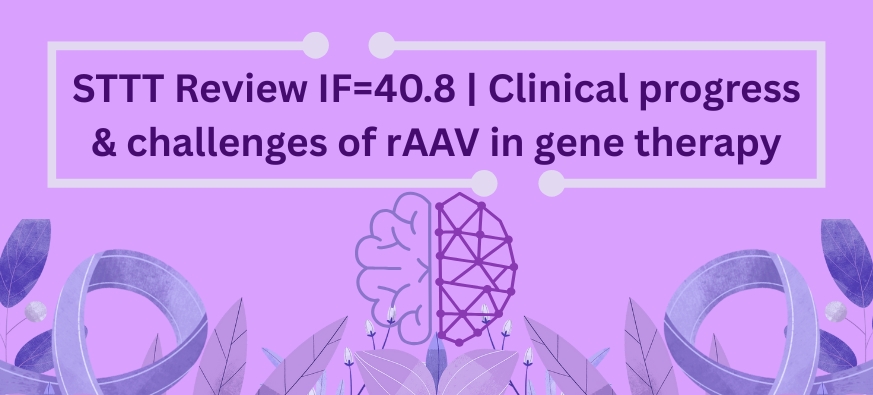 Advancing Gene Therapy for Neurological Disorders: The Role of rAAV in Epilepsy and Beyond