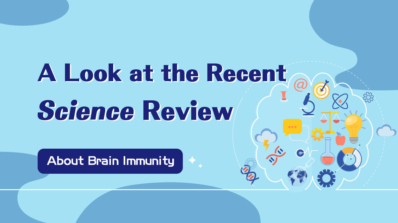 The New Truth About Brain Immunity — Did You Know? | A Look at the Recent Science Review